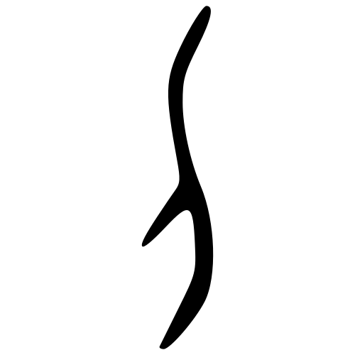 甲骨文字
