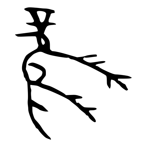 甲骨文字