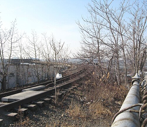 用途変更前の草木に覆われた鉄道線路
