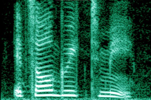 人間の声をスペクトログラムで視覚化したもの。ヒートマップはSTFTの振幅を表す。別の視覚化方法として、ウォーターフォールプロットもある。
