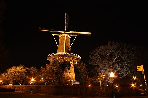夜景（2009）