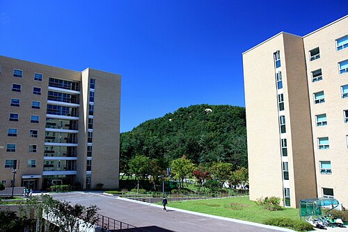 ソウル国立大学