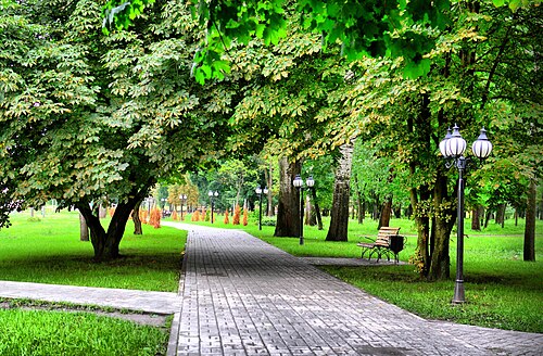 都市公園