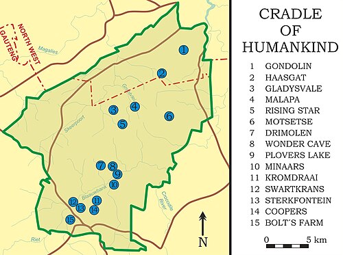 人類発祥の地の地図。15個の青い点が、化石を含む様々な洞窟を示している。パラントロプスは、クロムドラアイ洞窟、スワートクランス洞窟、ステルクフォンテイン洞窟、ゴンドリン洞窟、クーパーズ洞窟、ドリモレン洞窟で発見されている。