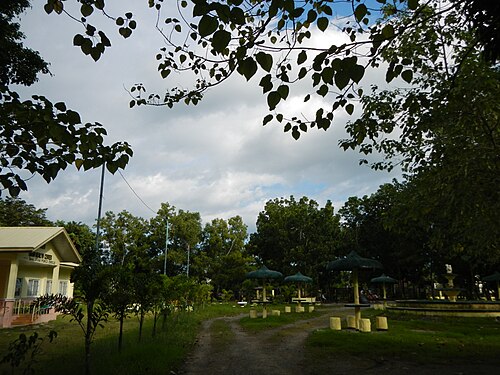 市立公園