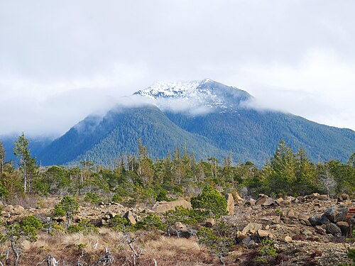 前景には岩だらけの土と小さな緑の植物があり、背景には針葉樹に覆われた高い山、ところどころに雲、そして頂上には雪が積もっています。