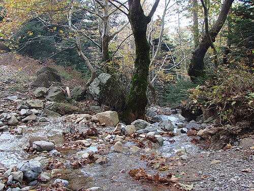 ディルフィ山のそばを流れる小川。