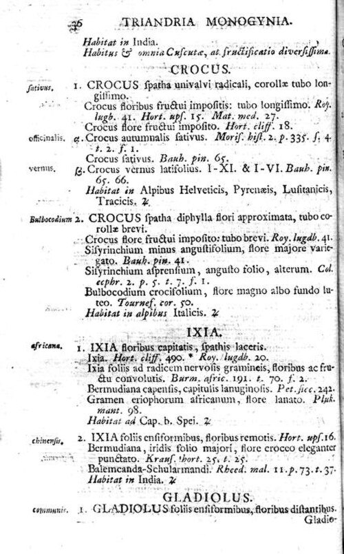 リンネが1753年に著したクロッカスに関する記述のページ