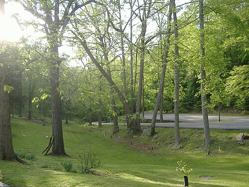 公園特有の道路地形