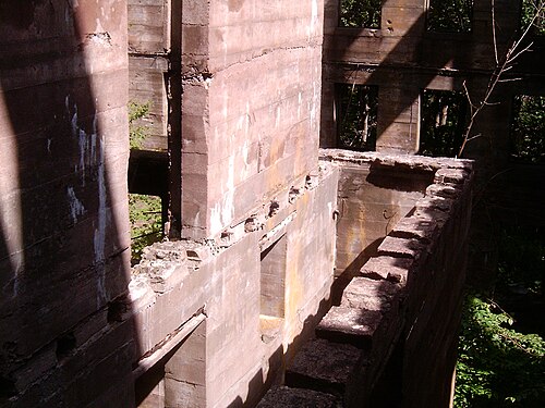 木々が生い茂り、床が失われている廃墟となった建物の眺め。