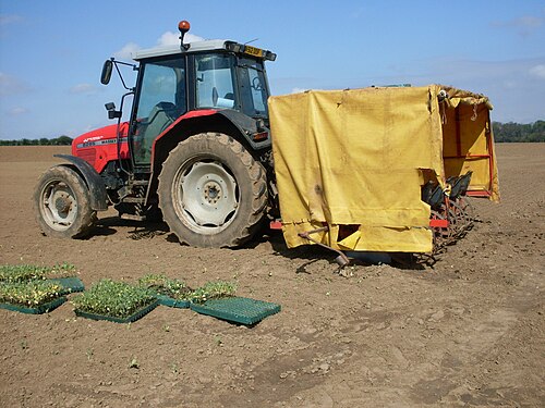5 列移植機が Massey Ferguson 6265 トラクターによって牽引されています。