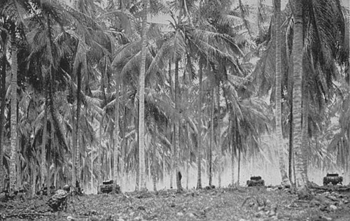 背の高いヤシの木の間を移動する第二次世界大戦時代の戦車3台の白黒写真。手前には軍服を着た男性がしゃがんでいる。