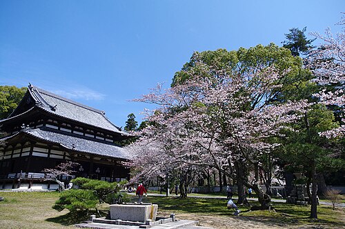 和歌山県岩出市根来寺の境内に桜が咲く