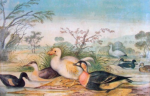 さまざまな鳥の中に白いドードー鳥が描かれた絵