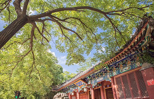 北京大学西門