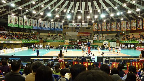 Vリーグの試合中の内部