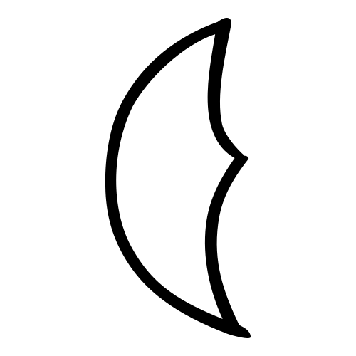 甲骨文字