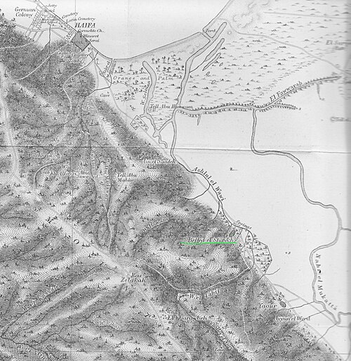 パレスチナ探検基金の地図。1875年