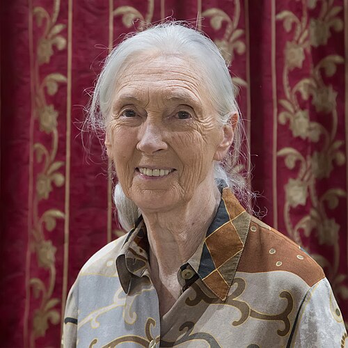 ジェーン・グドール女史：霊長類学者、人類学者