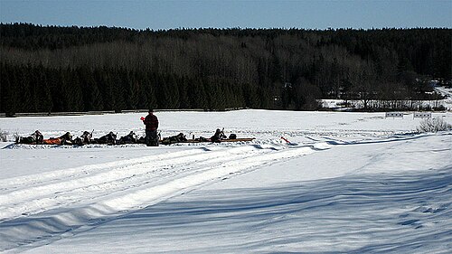 2012 年冬にスウェーデンで行われたノルディックライフル射撃大会。