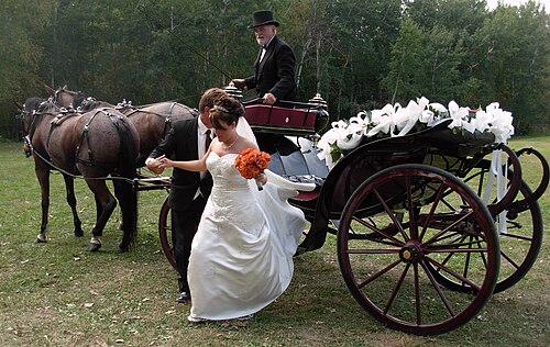 装飾された結婚式用の馬車から降りてくる花嫁
