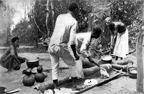 ルサンボの森でゴムのラテックスを溶かす