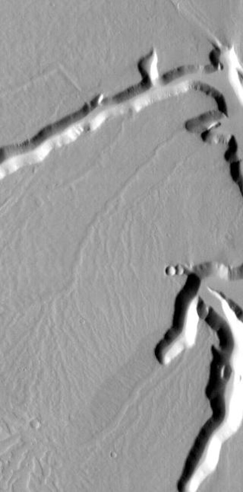 エクス カシュマの台地にある樹枝状の溝。画像の幅は 20 マイルです。画像はコプラテス四角形内にあります。
