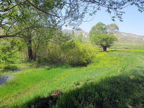チャナチ付近の風景