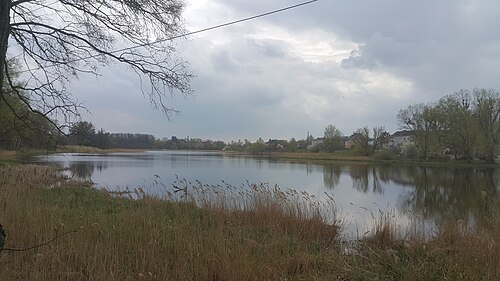 ジェレズノドロジヌイ公園、プラウディンスキー地区にあるロシアの保護区