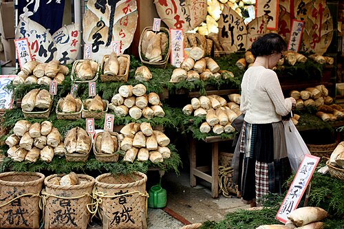 日本のお店で売られているさまざまな種類のタケノコ