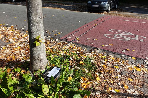 マンハイムにある自転車カウンターは、空気圧ホースを使って自転車の台数を計測する。