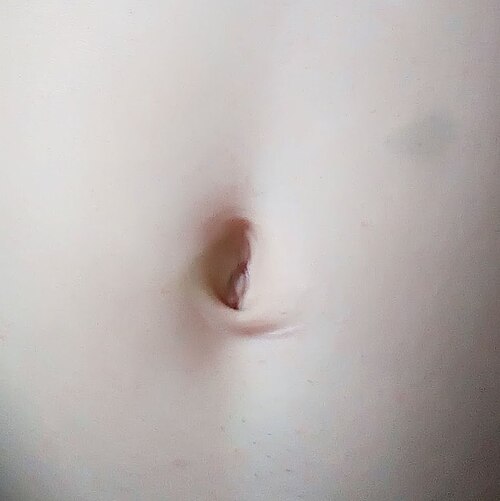 楕円形のへそ