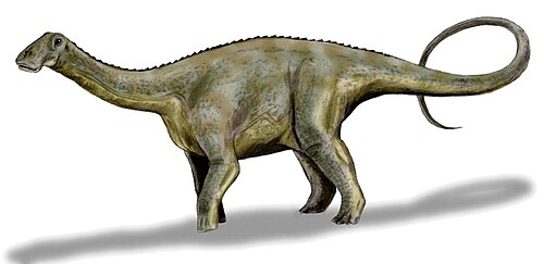 ニジェールサウルスの絵