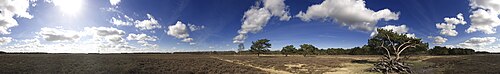 バッサム近郊の荒野の360度ビュー