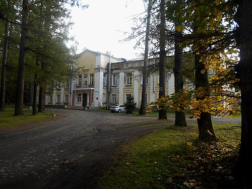 ロシア、ガッチンスキー地区ドルジュノセリエのヴィトゲンシュタイン宮殿