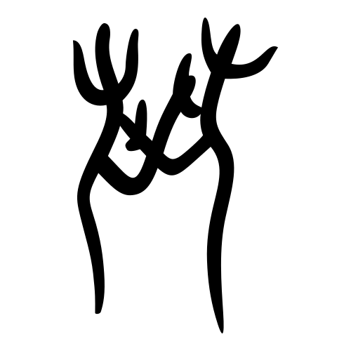 甲骨文字