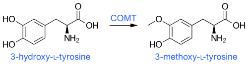 COMT活性によるレボドパ(3-ヒドロキシ-L-チロシン)の3-O-メチル化