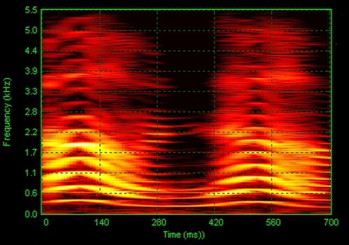 少女が発した「ああ、だめ！」という言葉の音響スペクトログラム。音の離散スペクトル（明るいオレンジ色の線）が時間（横軸）とともにどのように変化するかを示している。