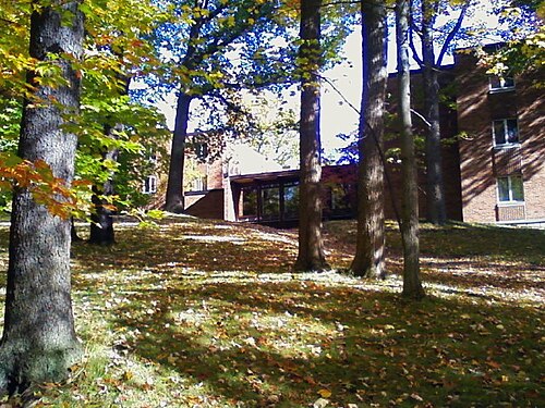 前景に木々(葉が色づいている)がある建物の写真
