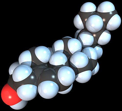 コレステロール分子の空間充填モデル