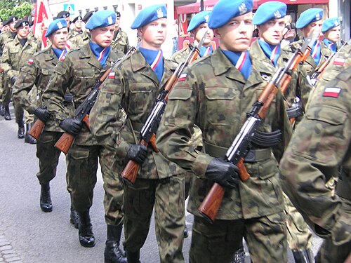 ポーランド軍第7沿岸防衛旅団の兵士。ポーランド国旗の縞模様の青いアスコットを着用。