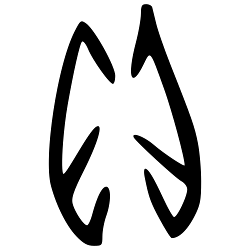 甲骨文字