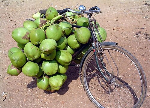 後輪が見えなくなるほどたくさんの緑の果物を積んだ自転車。