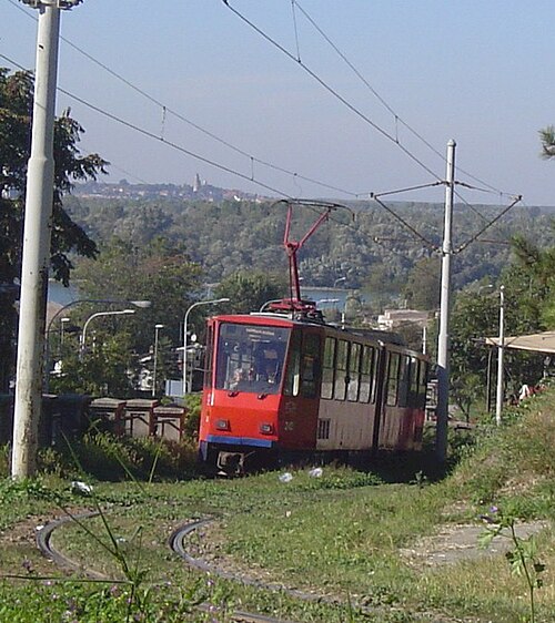 セルビアのベオグラードにある、草で覆われた路面電車の線路