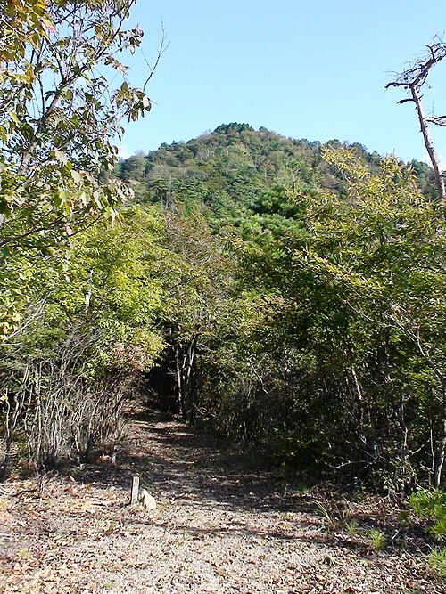 三の丸から見た田代山