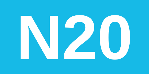 N20