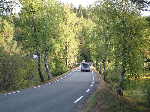 道路の状態は非常に変化に富んでおり、一部の区間ではここビルケネスのように道路が狭い。