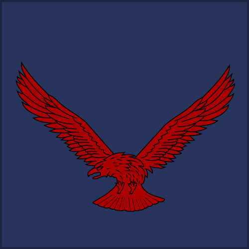 航空兵（パキスタン空軍）