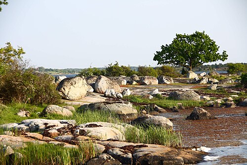 典型的な風景（アルメ島）