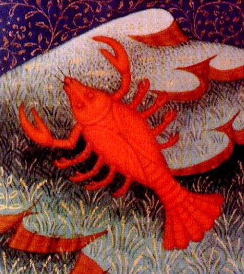 ティル（蟹座）のシンボル